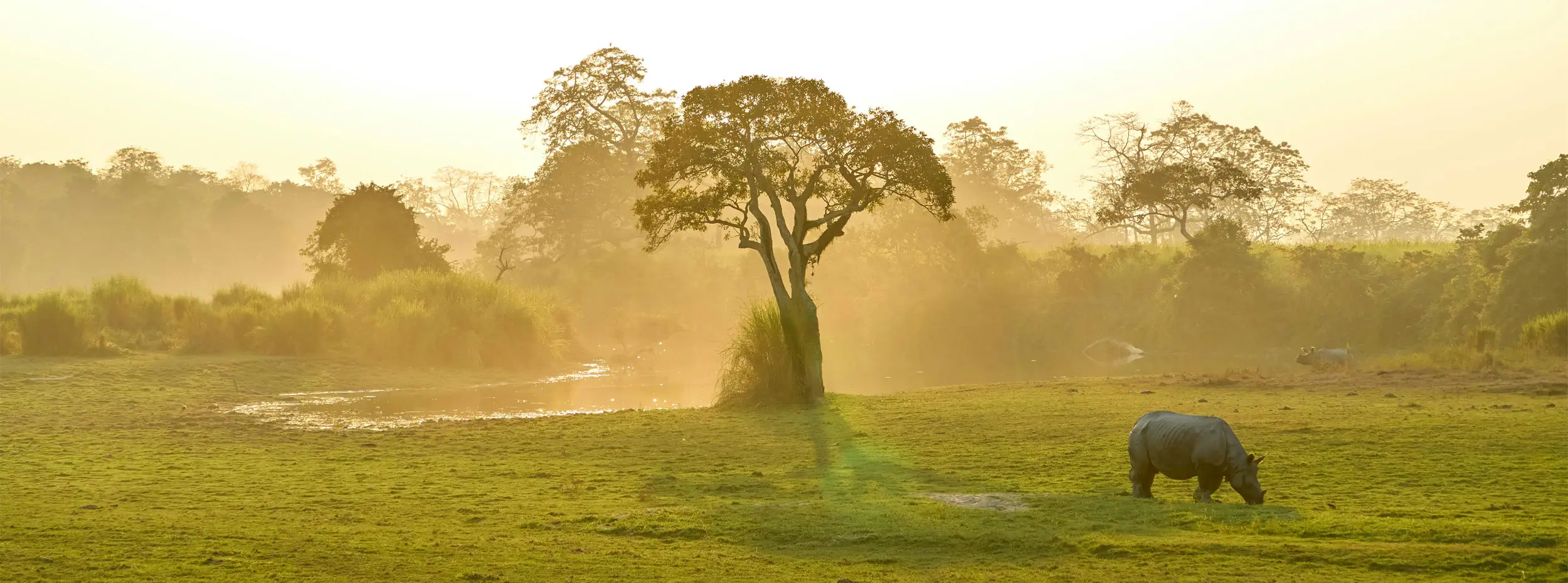 Assam Travel Guide