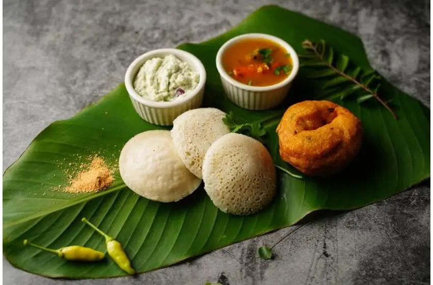 Luxury South India Food & Culinary Tour | 13 Days Private Gourmet Journey