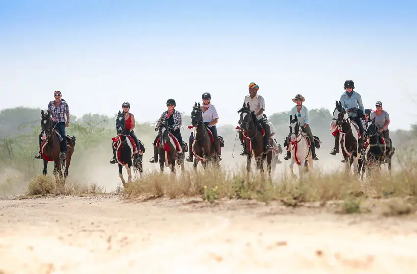 Royal Rajasthan Horse Safari Tour