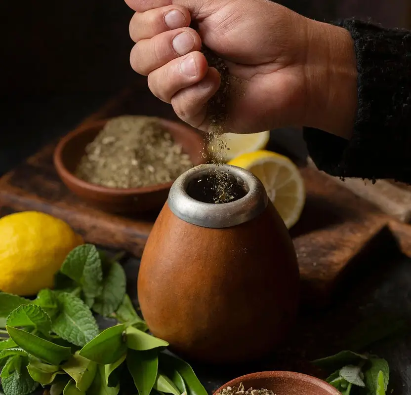 Rajasthan Wellness & Ayurveda Luxury Tour
