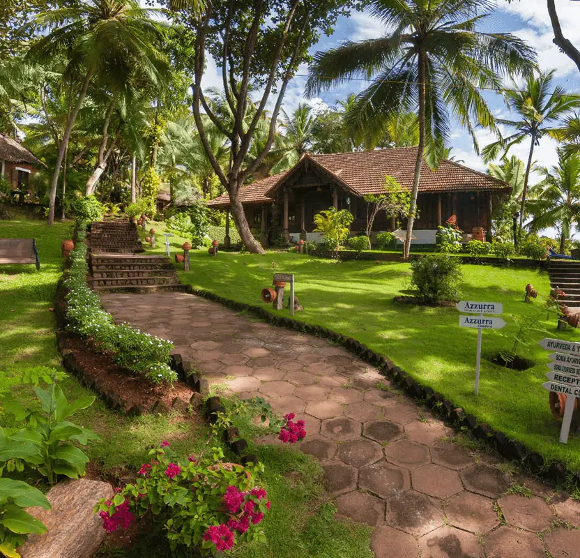 Coastal Calm: Kerala Backwaters & Ayurveda for Women