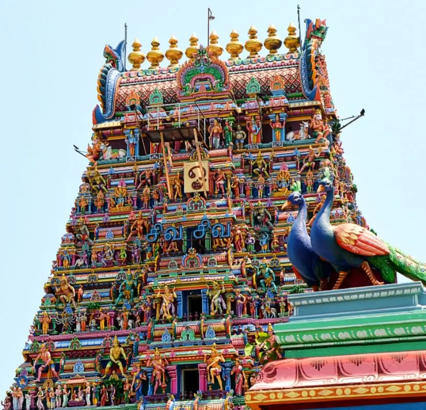 Luxury South India Tour for Solo Women | 11 Days Private Journey