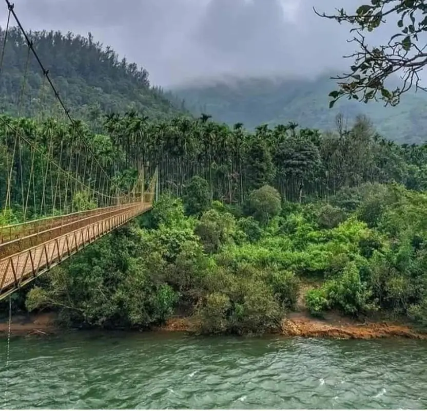 Luxury South India Coffee & Tea Plantation Tour | 12 Days Private Journey