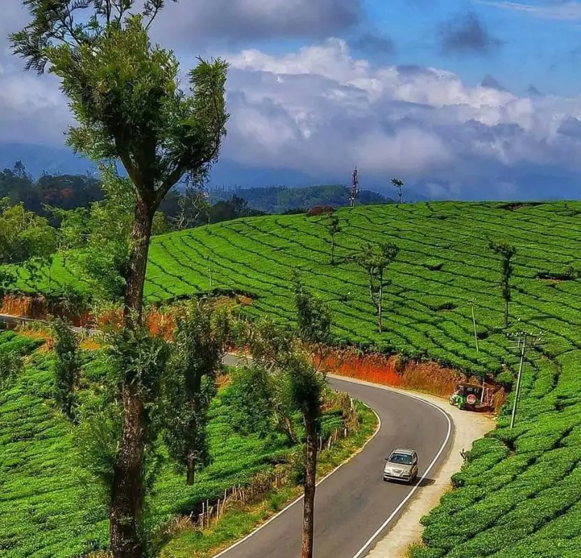 Luxury South India Small Group Tour | 14 Days Premium Private Journey