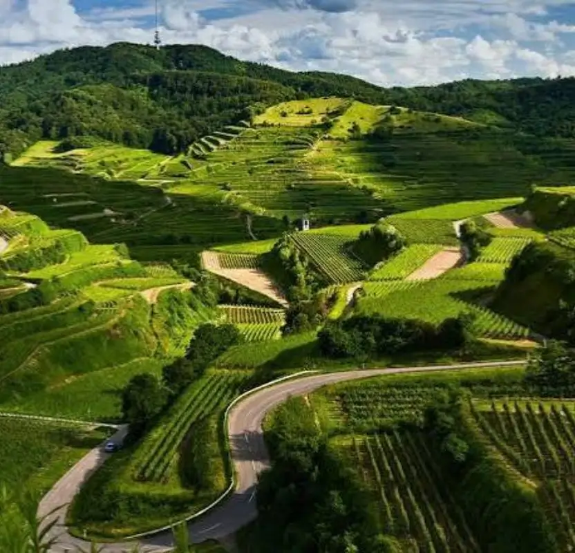 Luxury South India Slow Travel Tour | 16 Days Private Luxury Journey
