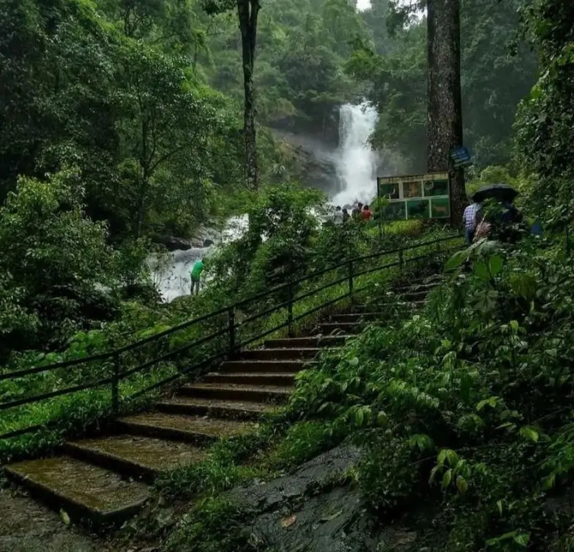 Luxury South India Coffee & Tea Plantation Tour | 12 Days Private Journey
