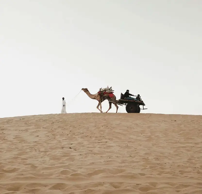 Jaipur Village & Rural Experience Tour with Crafts & Camel Ride
