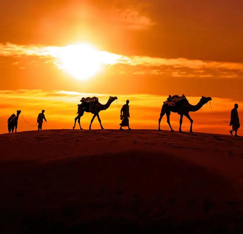 Jaipur Village & Rural Experience Tour with Crafts & Camel Ride