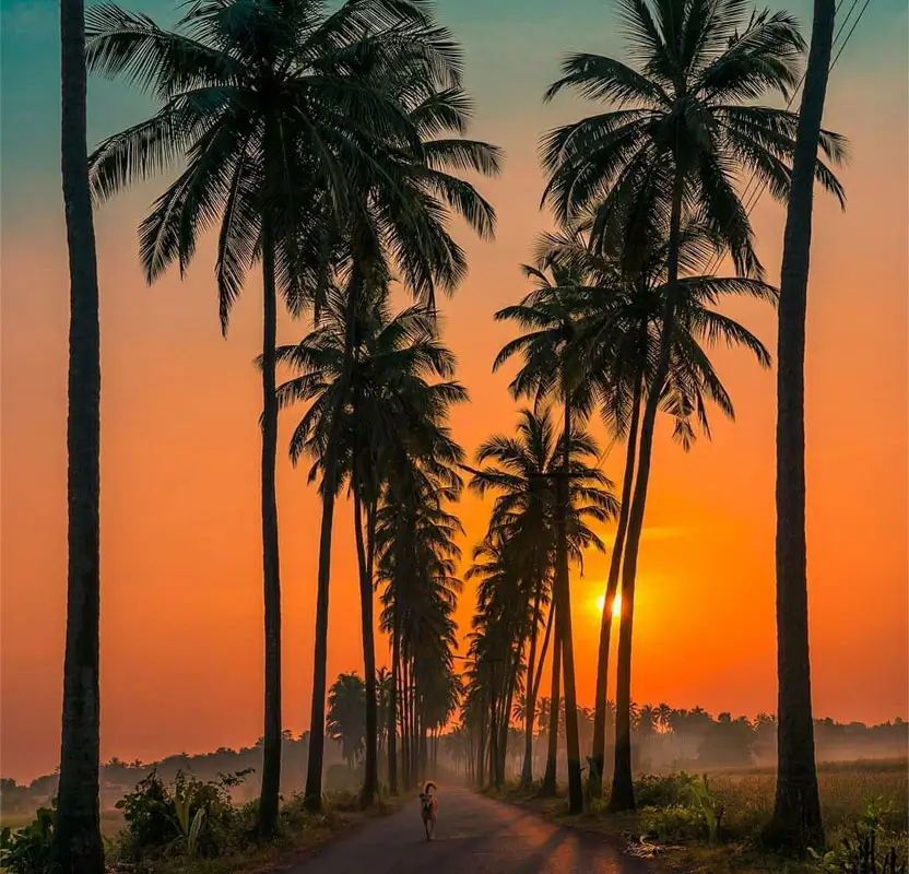 Golden Triangle Tour with Goa & Mumbai
