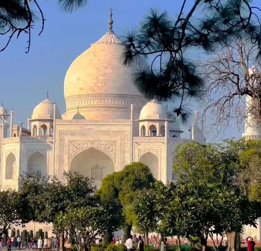 Golden Triangle Tour with Morning Yoga Sessions