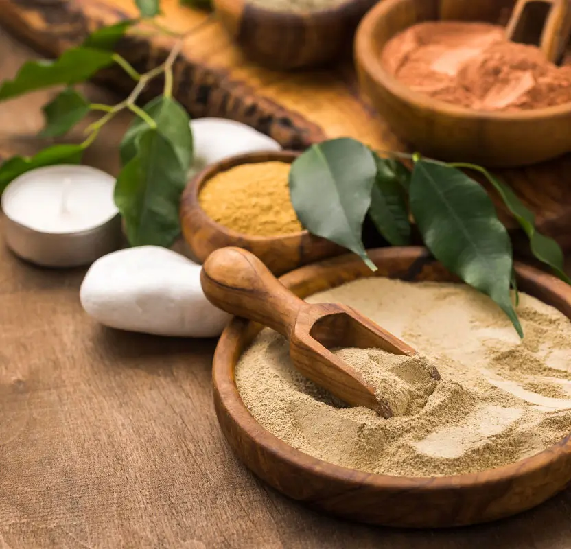 Kerala Ayurveda & Wellness Retreat