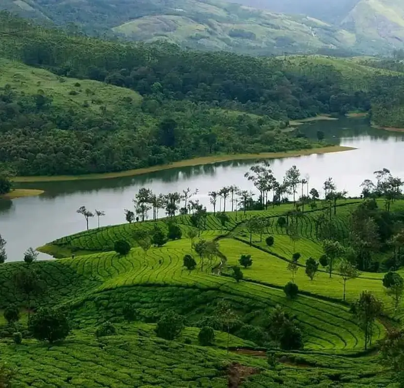 Solo Female Kerala Wellness & Culture Retreat – Backwaters, Ayurveda & Beaches