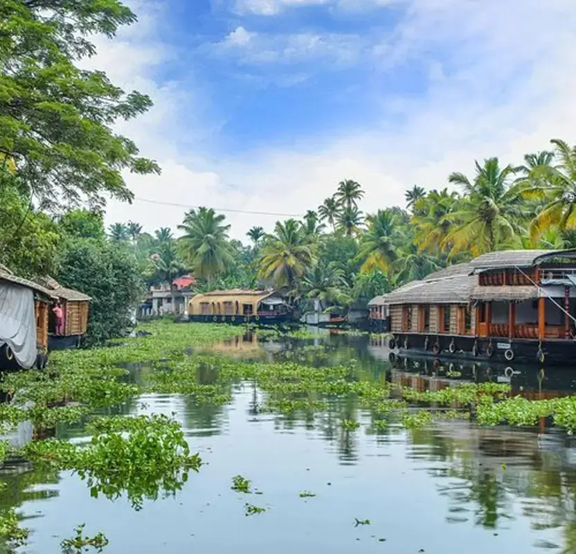 Solo Female Kerala Wellness & Culture Retreat – Backwaters, Ayurveda & Beaches