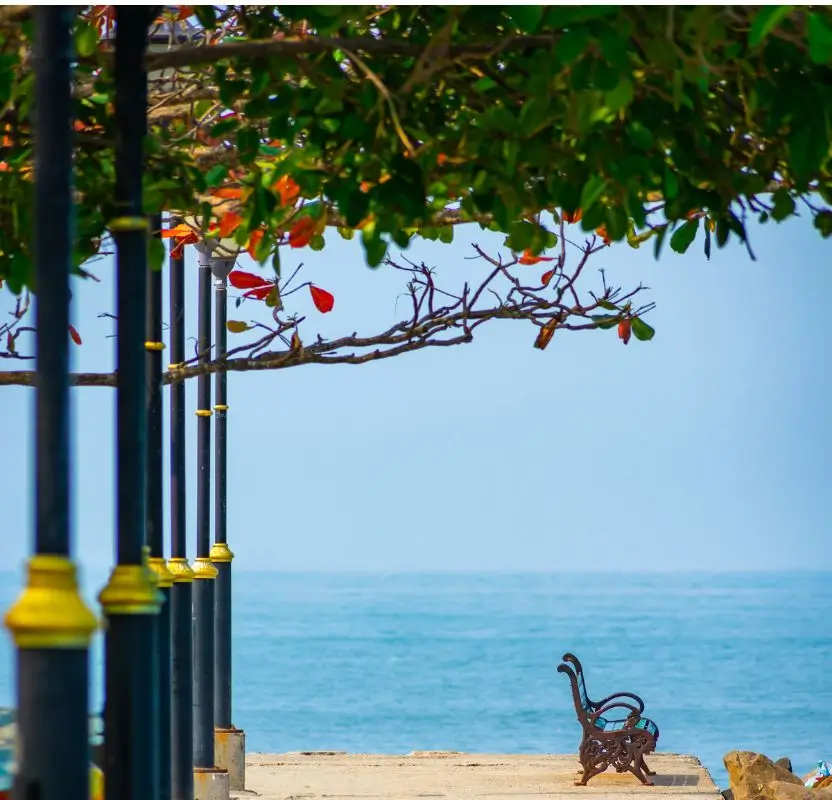 Kerala Wildlife & Luxury Beach Escape | 10 Days Private Tour