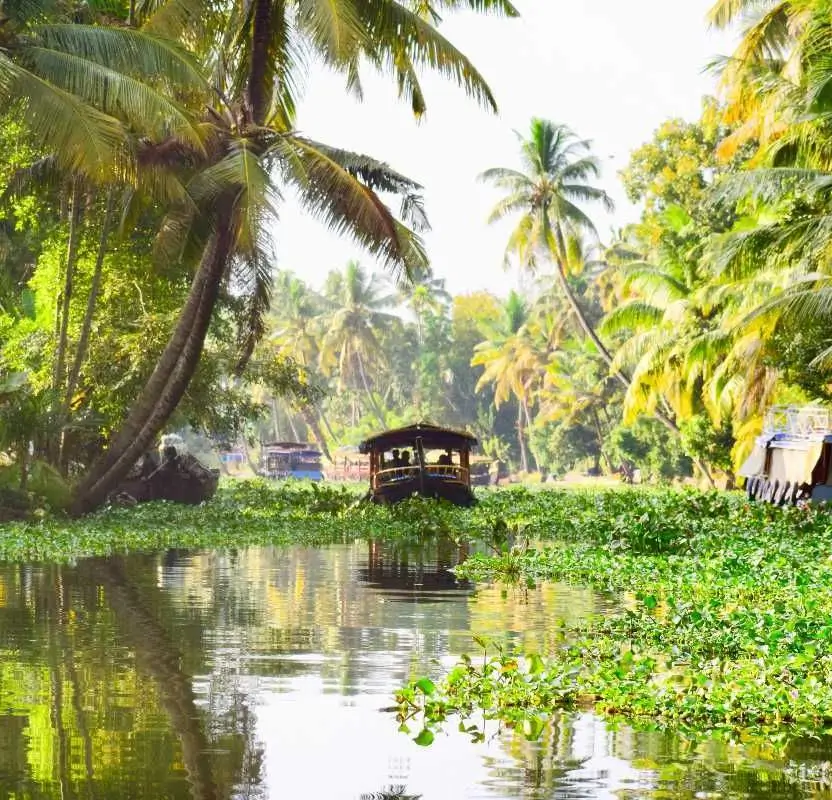 LGBTQ+ Friendly Luxury South India Tour | 13 Days Private Holiday