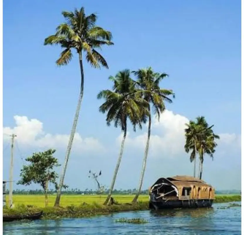 Luxury South India Food & Culinary Tour | 13 Days Private Gourmet Journey