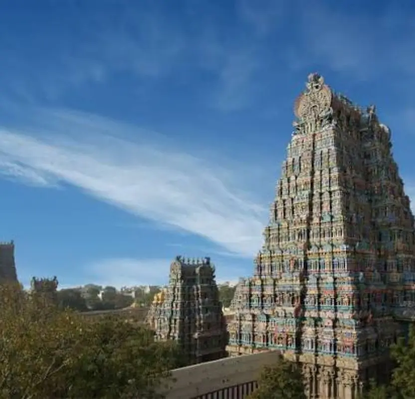 Luxury South India Tour for Solo Women | 11 Days Private Journey