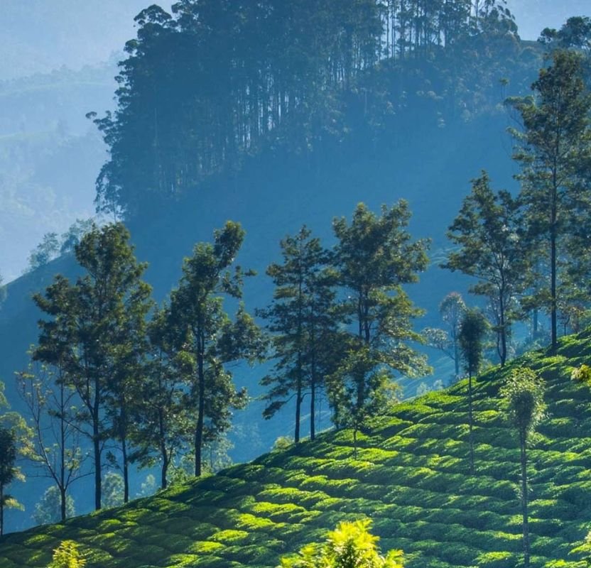 South India Luxury Cultural Discovery Tour | 15 Days Private Journey