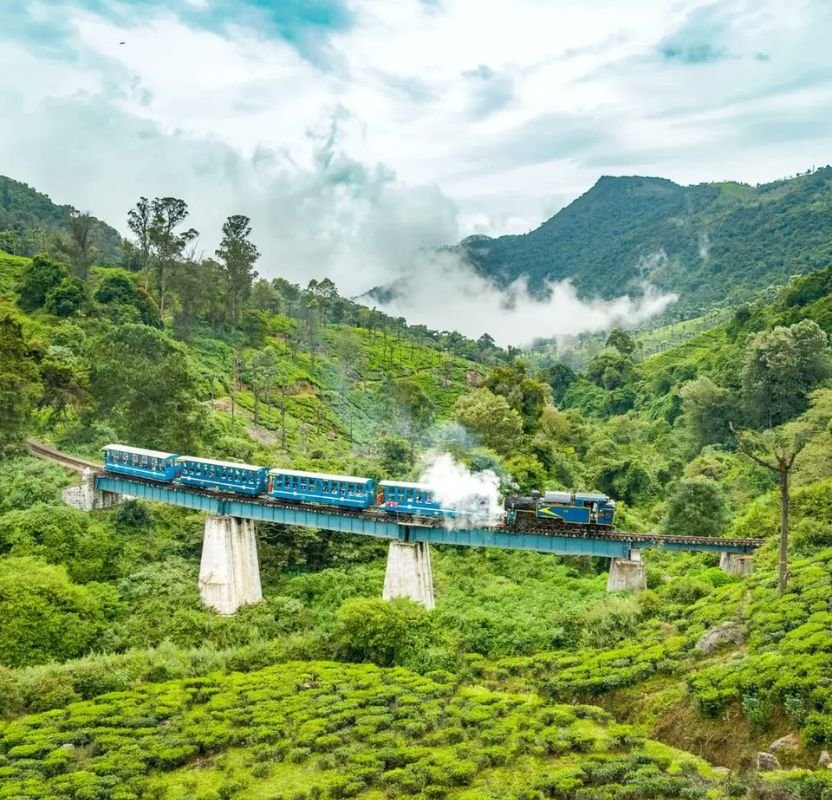 Luxury Nilgiri Mountains & Tea Estates Tour | 9 Days Private Holiday