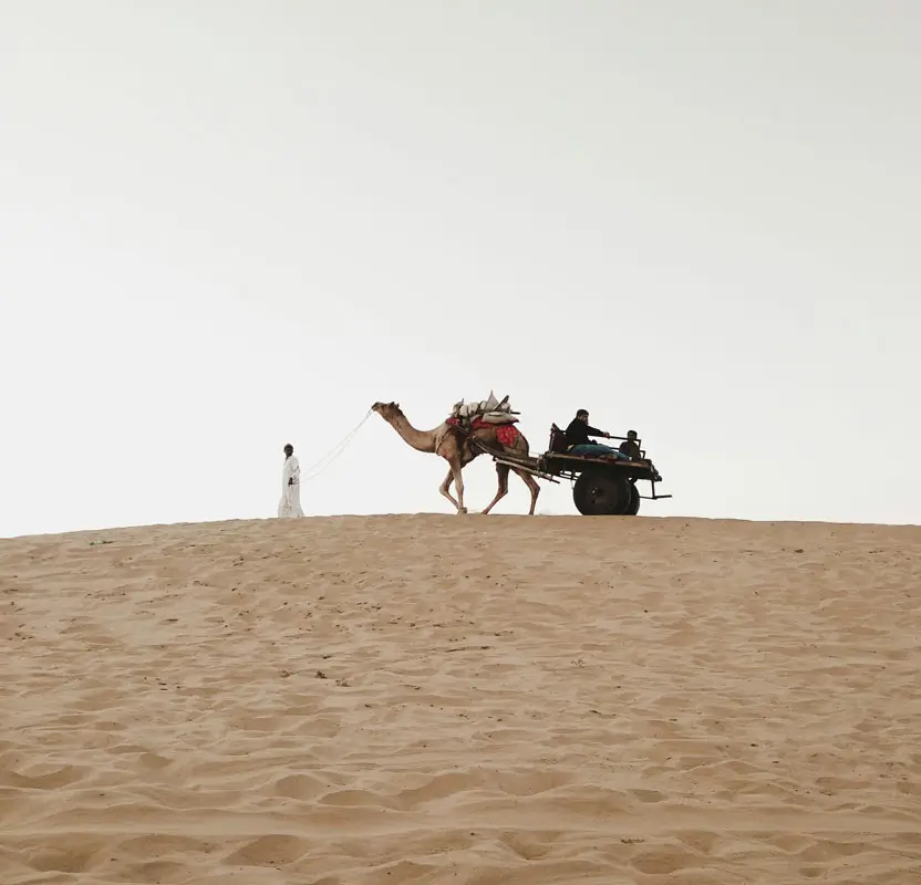Luxury Rajasthan Tour with Jaipur, Jodhpur & Jaisalmer Palaces & Desert Safaris