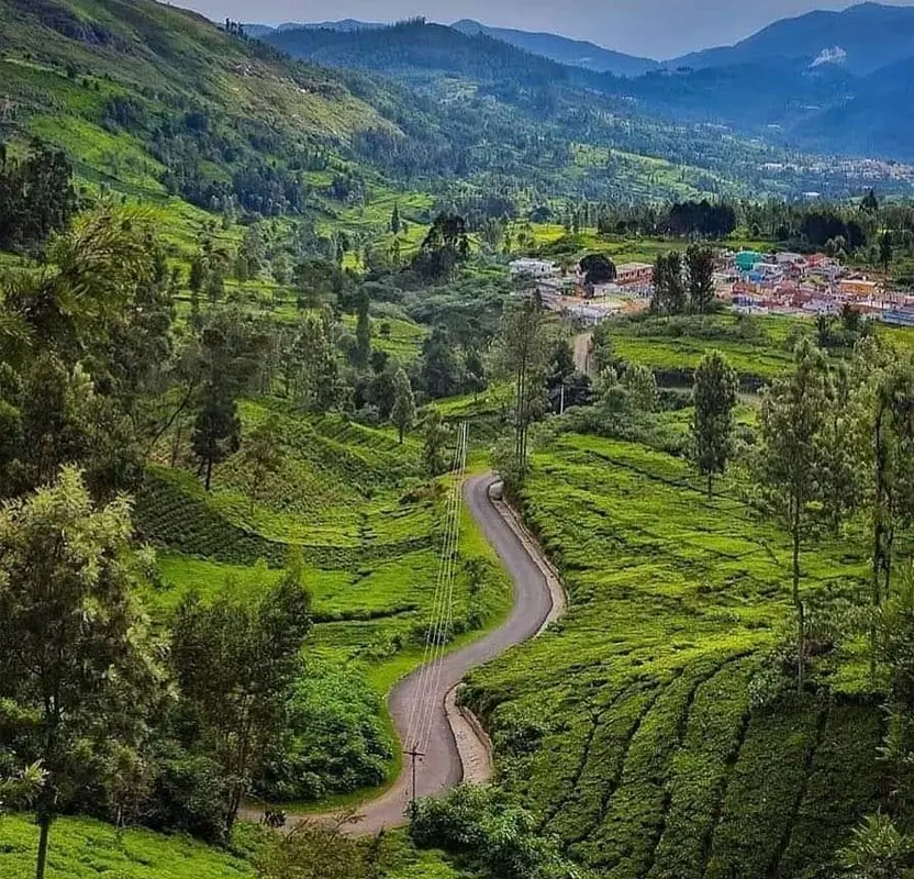 Golden Triangle Tour with Ooty & Coonoor