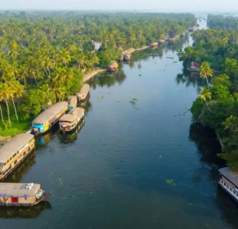 Luxury Kerala Plantation & Backwaters Journey | 9 Days Private Tour