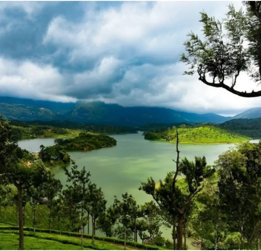 Luxury Kerala Plantation & Backwaters Journey | 9 Days Private Tour