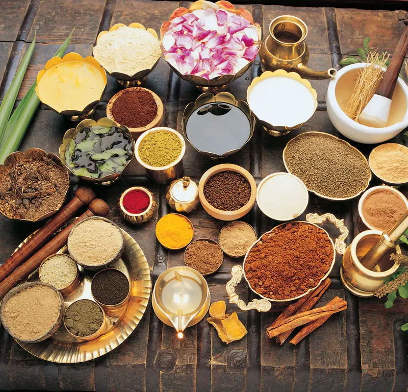 Rajasthan Wellness & Ayurveda Luxury Tour